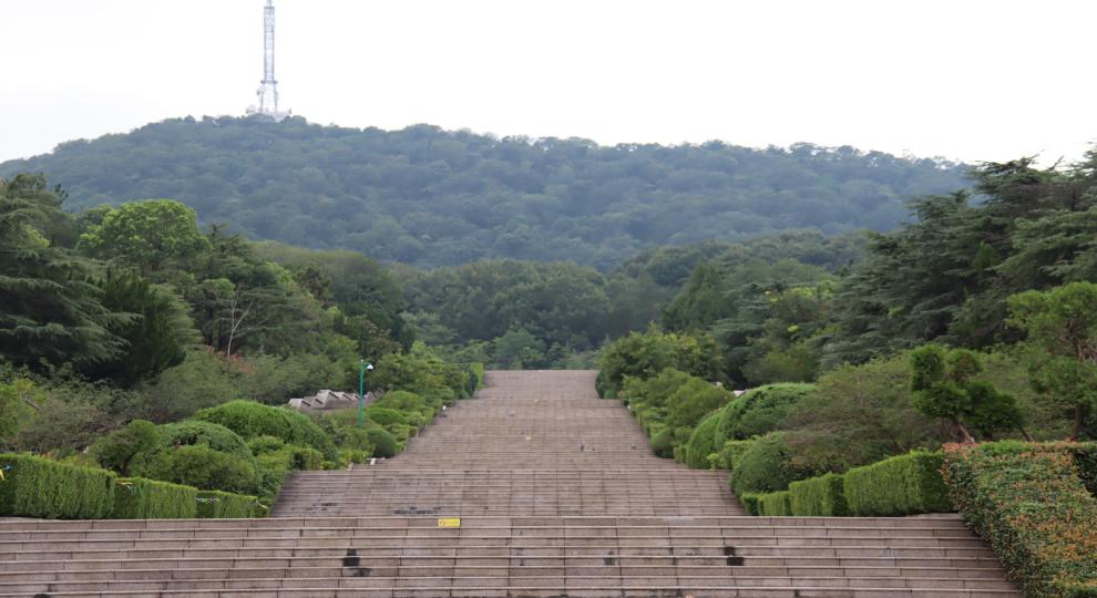 青柏如海慰忠魂，蜀山永志銘深恩——東北林業(yè)大學(xué)文法學(xué)院“皖中赤心尋紅小隊(duì)”開展暑期“三下鄉(xiāng)”社會實(shí)踐活動