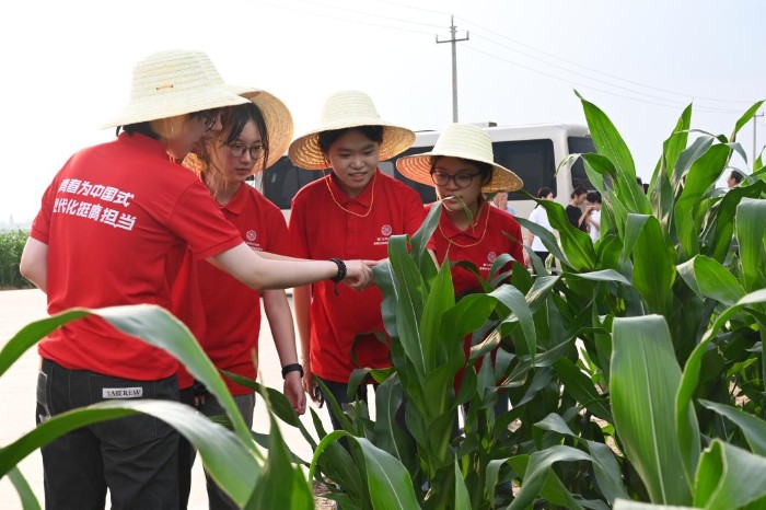 從“嘉庚故里”到“三晉北野”， 他們用專業(yè)喚醒鄉(xiāng)村“生命情感”