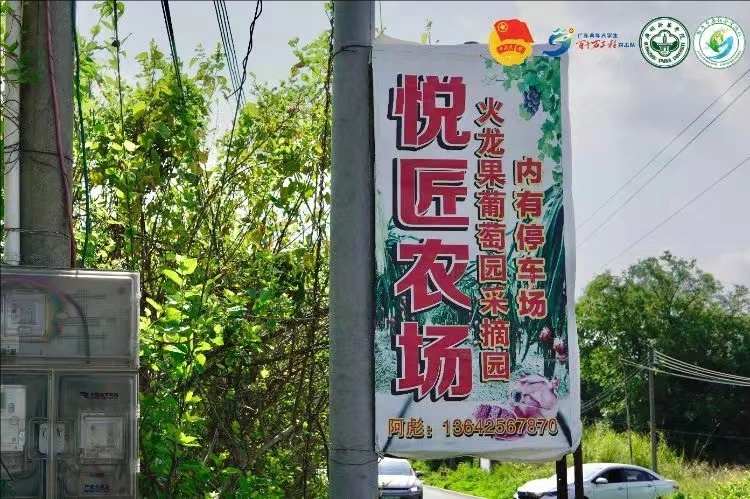 【助力鄉(xiāng)春社會實踐隊】 挖掘西河農(nóng)業(yè)特色，探尋產(chǎn)業(yè)發(fā)展脈絡