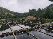 山東大學（威海）纖智未來調(diào)研團赴淄博市淄川區(qū)太河鎮(zhèn)江源水產(chǎn)養(yǎng)殖場開展調(diào)研