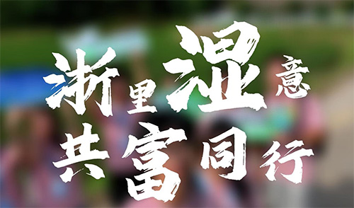 青春力量“潮”向濕地共富！公管學子奔赴青山綠水，解碼生態(tài)富民新路徑