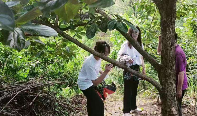 煙臺大學(xué)：文旅賦能果業(yè)，共促現(xiàn)鄉(xiāng)村振興