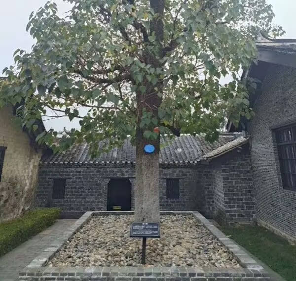 賡續(xù)紅色血脈：淮師實踐團隊探訪張治中故居傳承愛國精神