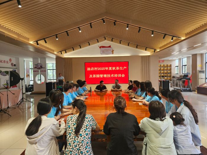 河海學(xué)子三下鄉(xiāng)：助力湯店村茶產(chǎn)業(yè)升級(jí)，“茶蘊(yùn)希望”譜寫鄉(xiāng)村振興新篇章