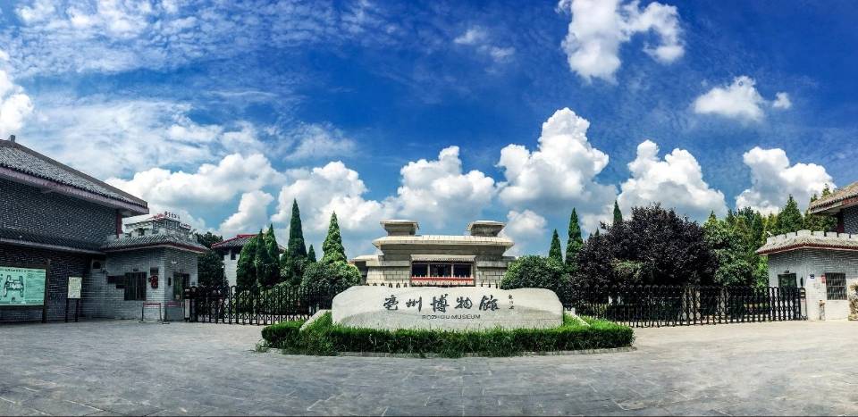 淮師學(xué)子三下鄉(xiāng)∶深耕亳州沃土，云聚紅跡鑄新篇