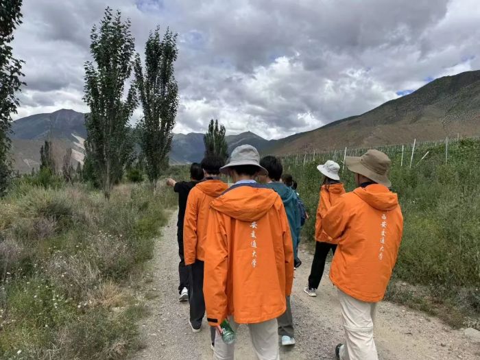 青春助力鄉(xiāng)村振興，雪域高原綻放芳華