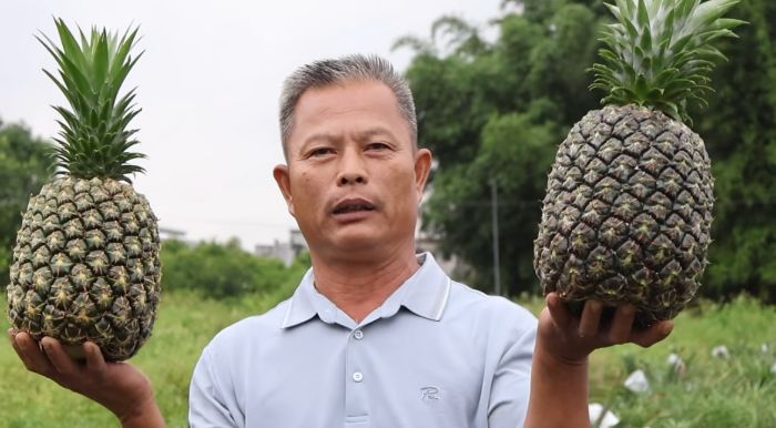 “戰(zhàn)前”磨劍，只為直播高光