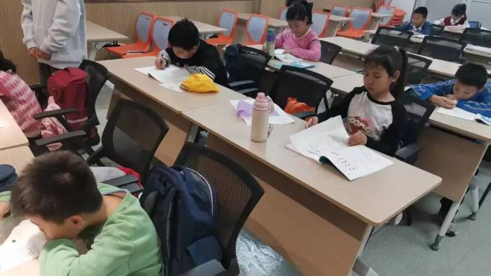 校園志愿力量持續(xù)發(fā)力：山東大學學生春暉社“童心揮藝彩，連區(qū)文載情”甸柳社區(qū)志愿服務(wù)周期性總結(jié)