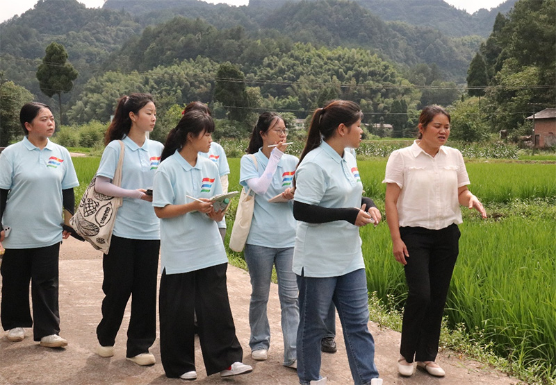 深入觀佛村，共探振興路