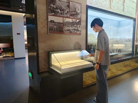 淮師學(xué)子三下鄉(xiāng)：走進(jìn)合肥小井莊，探尋改革與振興脈絡(luò)