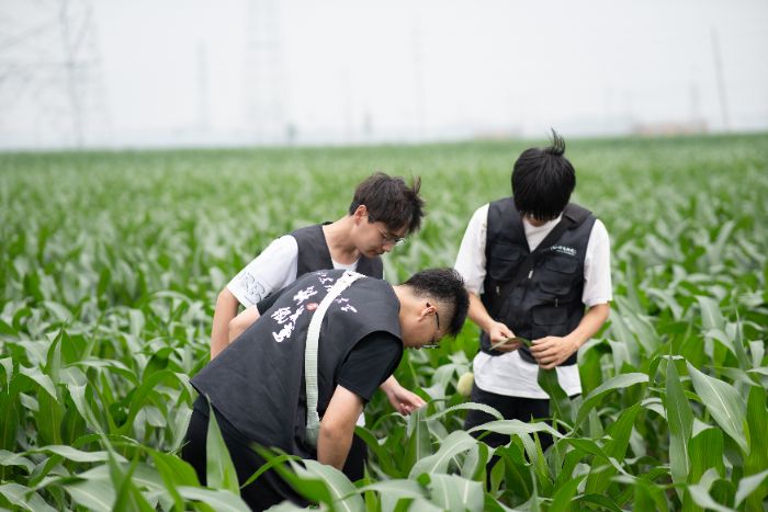 科技紙鳶實(shí)踐團(tuán)隊(duì)開(kāi)展對(duì)農(nóng)作物種植情況和基礎(chǔ)設(shè)施的無(wú)人機(jī)圖像采集工作