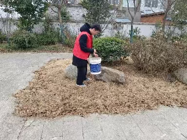 返家鄉(xiāng)新聞稿