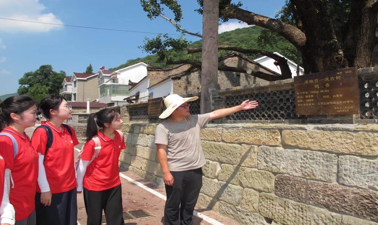 古樹(shù)保護(hù)+普法宣講：大學(xué)生為綠色鄉(xiāng)村建設(shè)注入法治力量