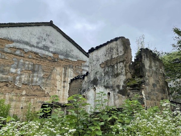 高塢嶺村調(diào)研見聞：規(guī)劃設(shè)計新思考