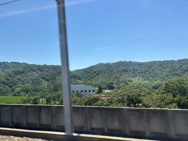 安徽六安大橋畔村：生態(tài)蝶變繪就鄉(xiāng)村新圖景