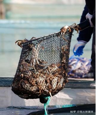 多彩的新疆海鮮