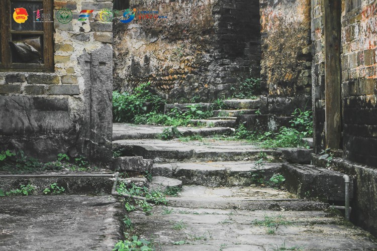 探尋應(yīng)山古色，感受人文脈動