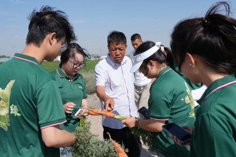 陜科大輕工學(xué)子三下鄉(xiāng)：青春賦能綠農(nóng)路 科技深耕沃野間