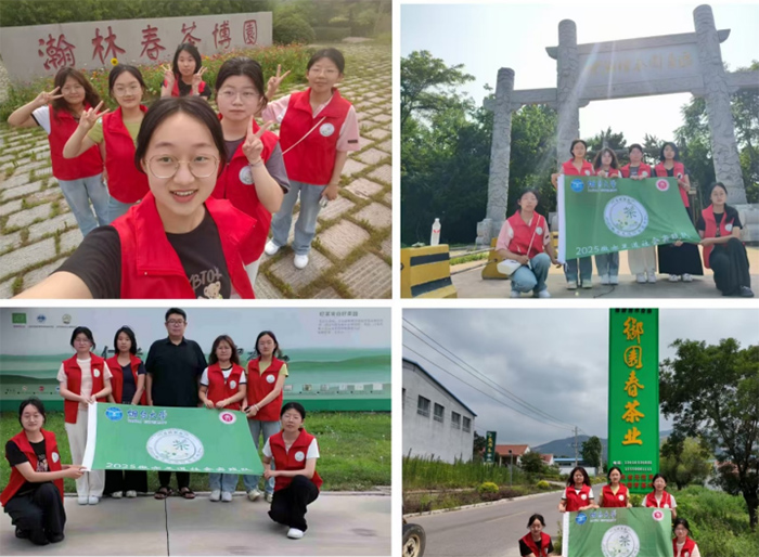 青春賦能鄉(xiāng)村振興：微亦足道團隊日照綠茶探尋之旅