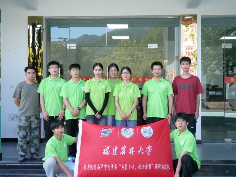 桃林實(shí)踐尋新路，鄉(xiāng)村振興展宏圖