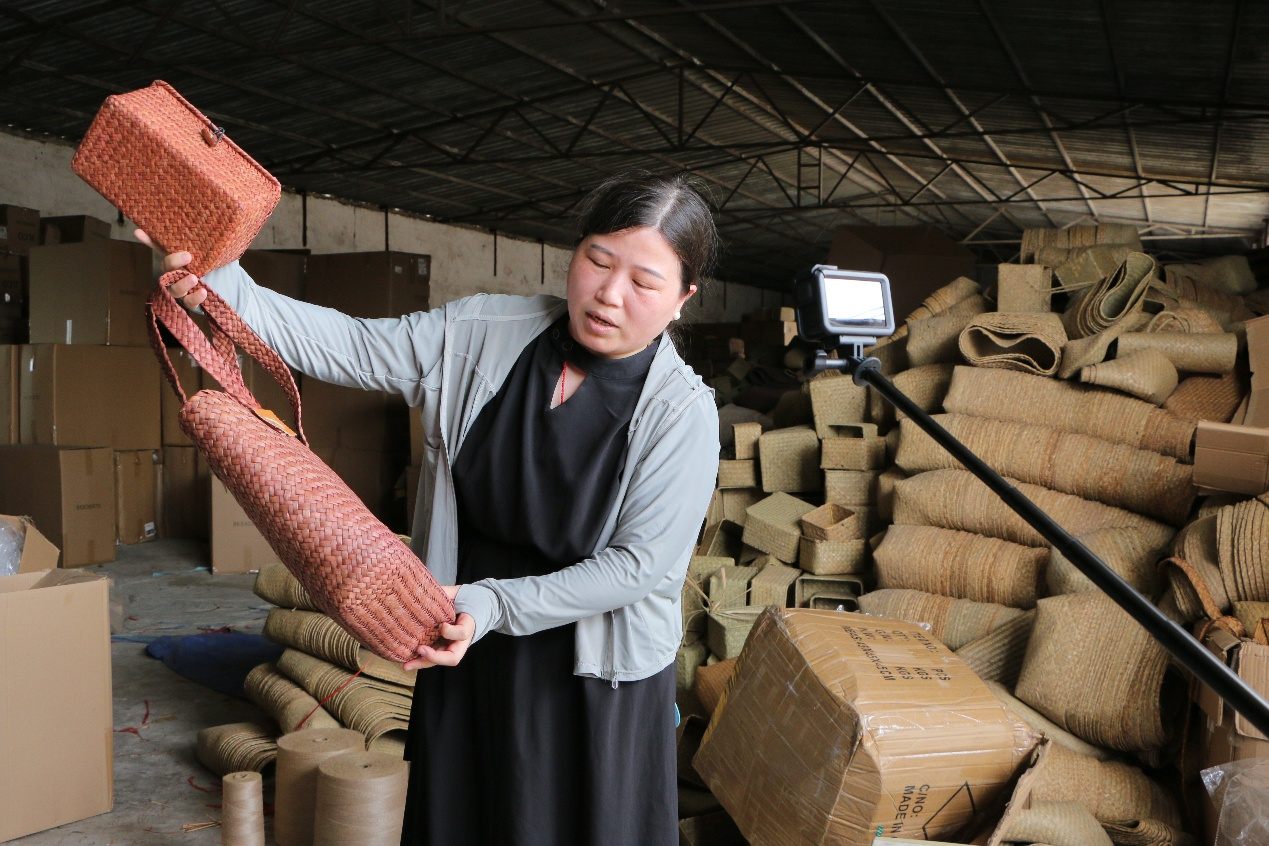 湛科學(xué)子“三下鄉(xiāng)”：廠研蒲藝，筑夢鄉(xiāng)村