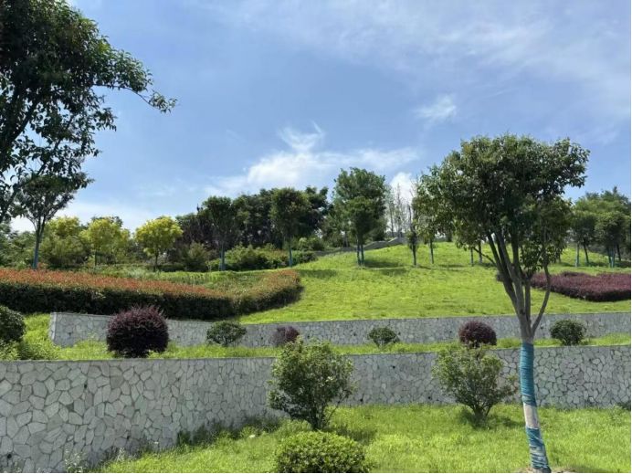 巢湖學(xué)院：探索生態(tài)修復(fù)與文化傳承之路