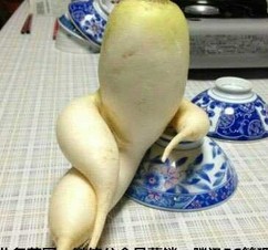 超搞笑圖片，讓你爆笑不停