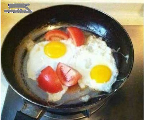 女大學(xué)生在校園內(nèi)弄個(gè)西紅柿炒雞蛋都這么牛逼