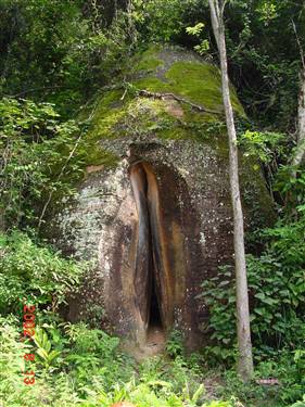 奇葩的自然景觀！讓人苦笑不得