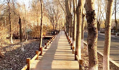 一封家書 “大學(xué)生活充滿青春活力和永遠(yuǎn)燃燒著的少年之心”