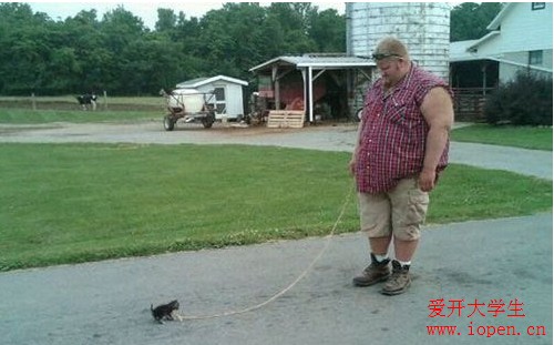 外國人遛狗就是和我們國人不一樣，遛狗都這么有個(gè)性