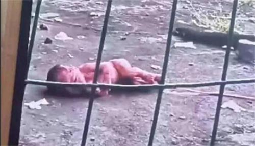 女大學(xué)生宿舍產(chǎn)子當(dāng)場丟棄到宿舍外