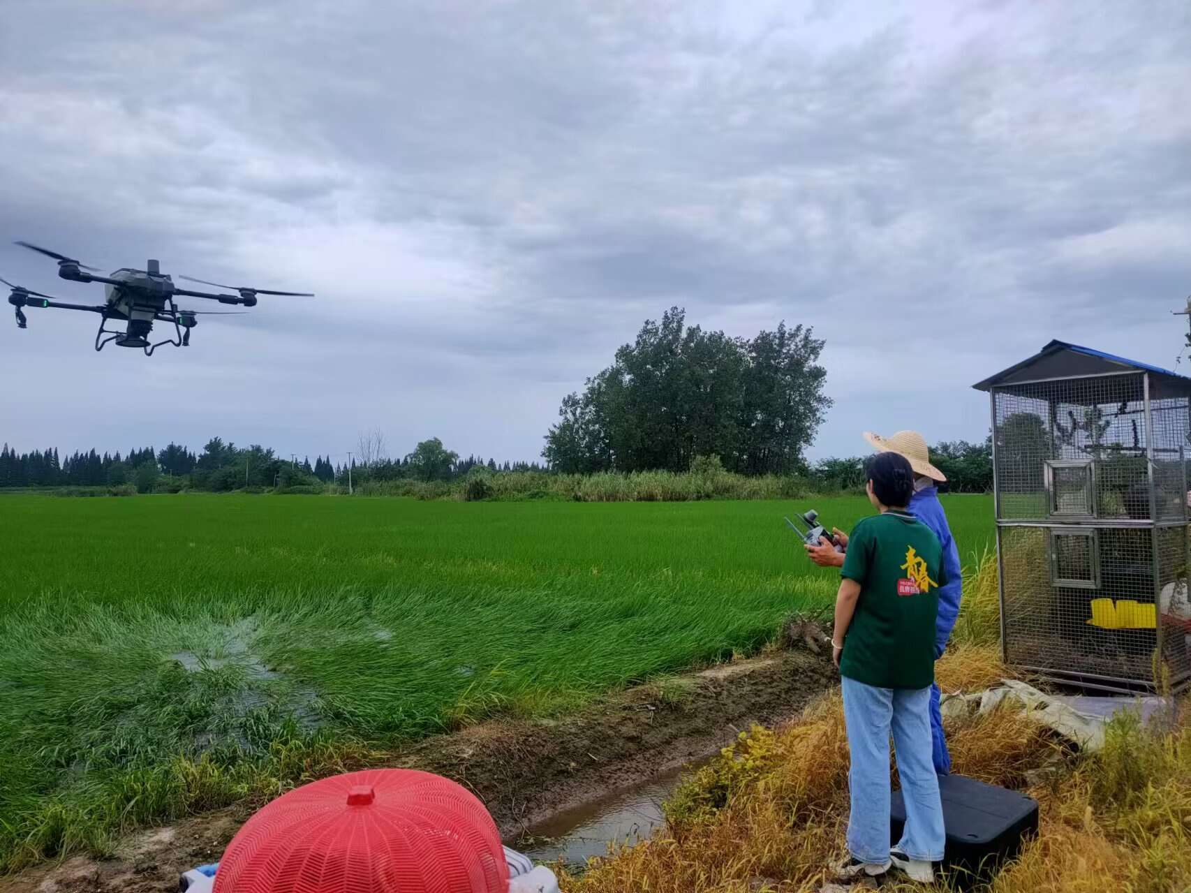 巢湖學(xué)院數(shù)學(xué)與大數(shù)據(jù)學(xué)院赴同大鎮(zhèn)“智造農(nóng)業(yè)，數(shù)聯(lián)鄉(xiāng)村”智慧農(nóng)業(yè)發(fā)展調(diào)研團隊——陳婧 個人感悟