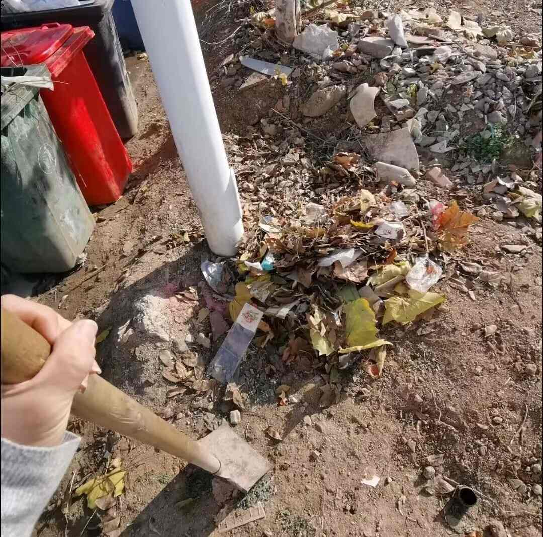 青春志愿行，清掃暖社區(qū)