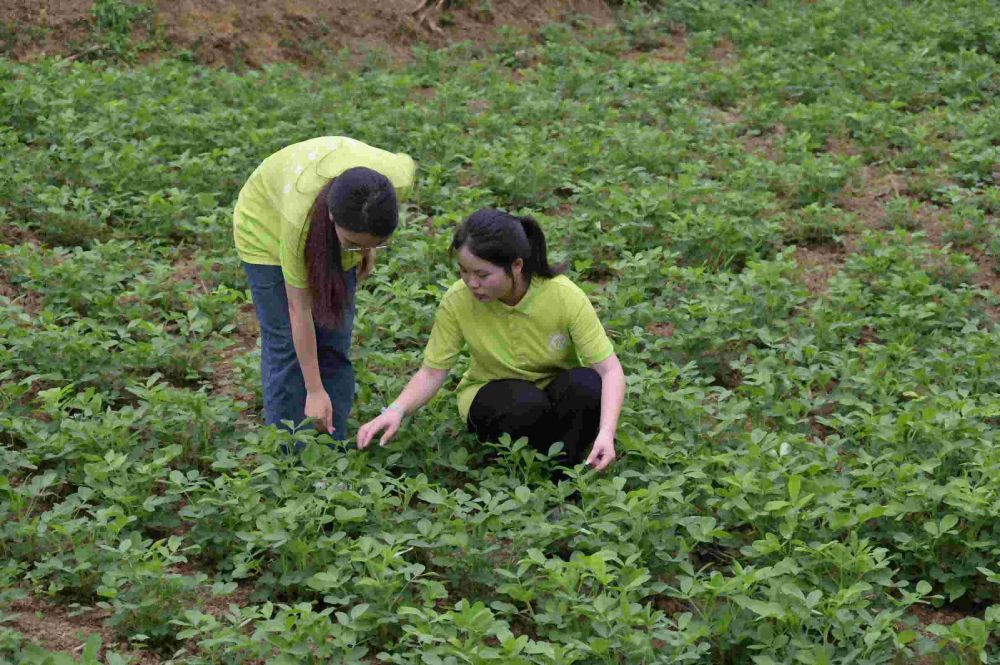 科技文化下鄉(xiāng)，賦能鄉(xiāng)村發(fā)展——西南石油大學(xué)“豆福千家”團隊 三下鄉(xiāng)