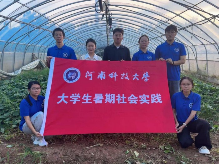 田壟實(shí)踐-破解甘薯缺素難題紀(jì)實(shí)