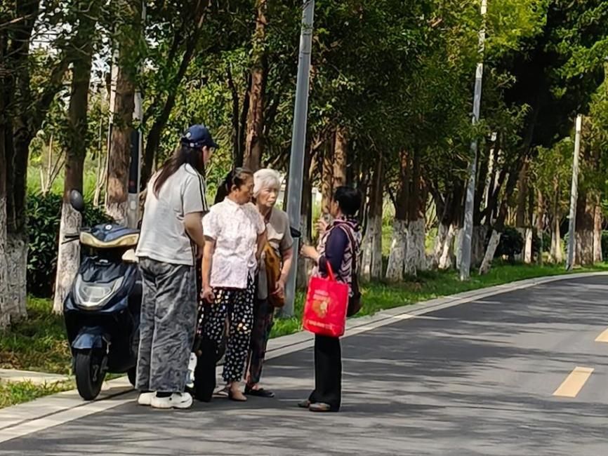 下鄉(xiāng)研土地根脈，螢火助鄉(xiāng)村振興