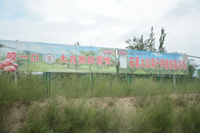 數(shù)字人直播助力破解農(nóng)產(chǎn)品銷售困局——大學(xué)生實踐團隊走訪延安致富帶頭人紀(jì)實