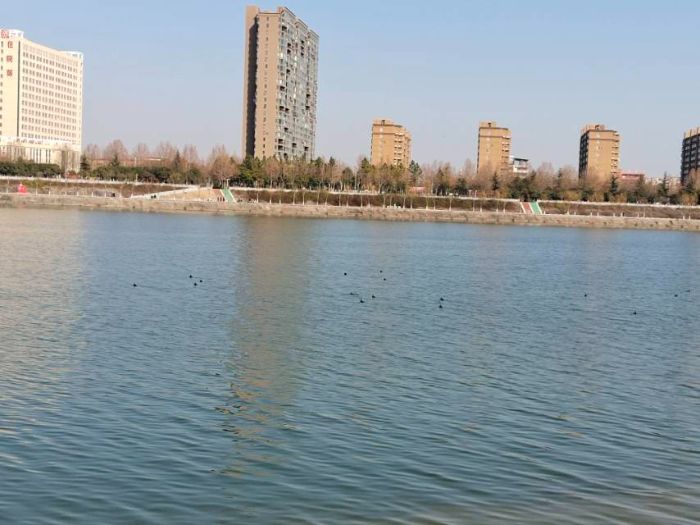 鄉(xiāng)村振興背景下內鄉(xiāng)縣鄉(xiāng)村發(fā)展調研與優(yōu)化研究